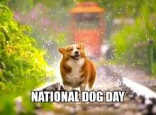 When is National Dog Day