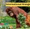 When Is International Orangutan Day messages