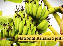 National Banana Split Day Messages