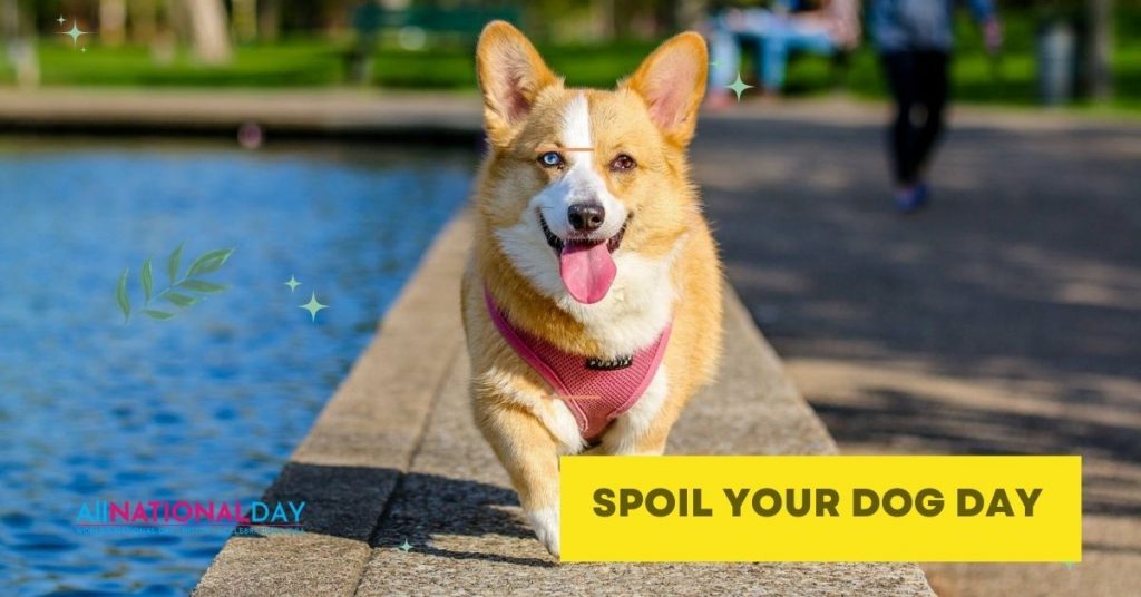 National Spoil Your Dog Day Messages, Wishes, Quotes, Sayings